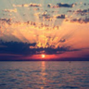 Meet your Posher, Hadley